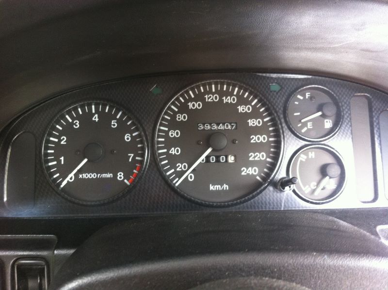 speedo 001 (800x598).jpg