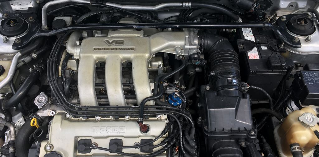 ut brace 002 (1024x505).jpg